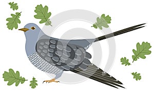 Vector Illustration of a cuckoo photo