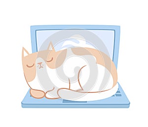 Vector illustration of cut cats lying on laptop on white.