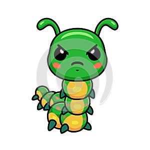 Cute angry little caterpillar cartoon