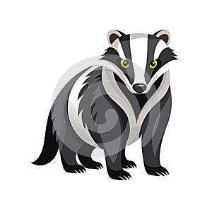 Vector illustration of a cute badger looking forward