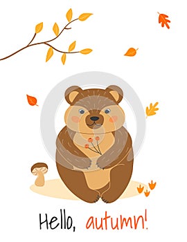 Vector illustration with cute bear, mushroom and leaf fall in cartoon style.