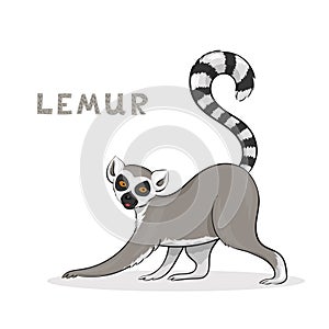 Vector illustration, a cute cartoon lemur, isolated on a white background.