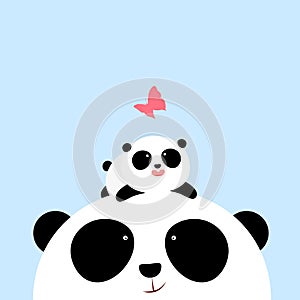 Vector Illustration: A cute cartoon little panda is lying on the head of his father / mother, looking at a butterfly.