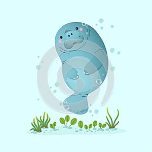 Vector illustration cute cartoon manatee swimming underwater with seagrass photo
