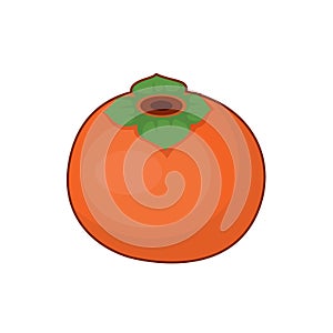 Vector illustration of persimmon fruit