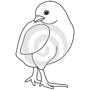 Vector illustration-cute chicken posing. Outline on an isolated background. Coloring book for children and adults.