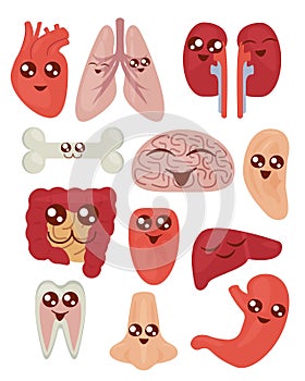 Vector illustration of cute colorful cartoon funny organs set with health concept on the white background in flat style.