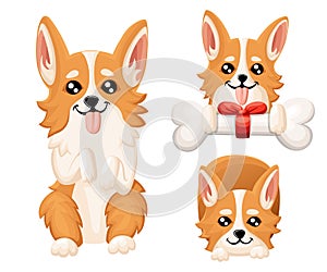 Vector illustration of cute dog Welsh Corgi. Nice puppy for greeting card, pet shop or veterinary clinics. Dog Welsh Corgi standin