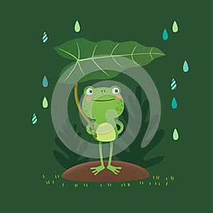 Vector illustration of a cute frog standing and holding a leaf on a rainy day