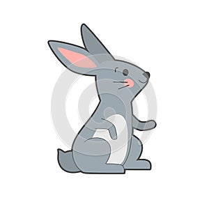 Vector illustration of cute hare