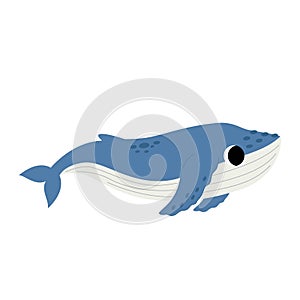 Vector illustration of cute humpback whale isolated on white background.