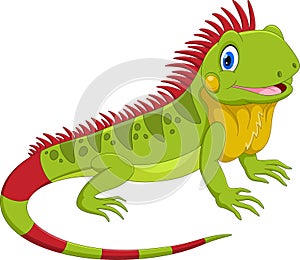 Vector illustration of cute iguana cartoon