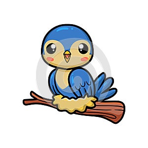 Cute little blue bird cartoon on tree branch