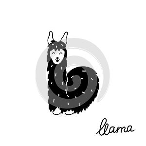 Vector illustration of cute llama