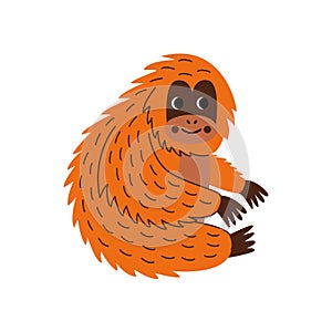 Vector illustration of cute orangutan isolated on white background.