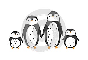 Vector illustration of cute penguin family isolated on white.
