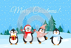 Vector illustration of cute penguins in Christmas clothes. Winter holidays banner, Merry Christmas greetings. Happy and