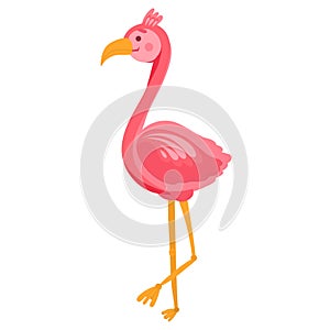 Vector illustration of a cute pink flamingo in cartoon hand drawn flat style. Funny bird with long neck from safari