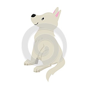 Vector illustration of cute puppy in flat style. Isolated on white. Swiss shephard. Illustration in childish style.