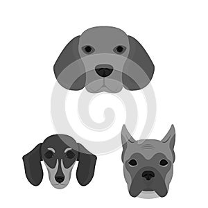 Vector illustration of cute and puppy symbol. Collection of cute and animal stock symbol for web.
