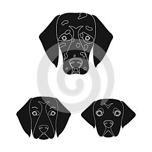 Vector illustration of cute and puppy symbol. Collection of cute and animal stock vector illustration.