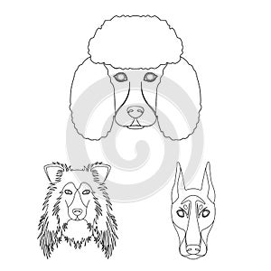 Vector illustration of cute and puppy symbol. Collection of cute and animal vector icon for stock.