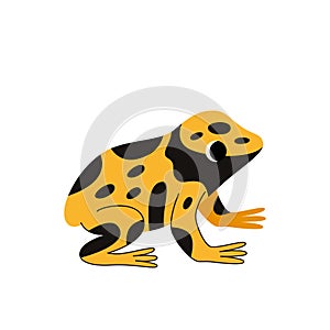 Vector illustration of cute yellow banded poison dart frog isolated on white background.