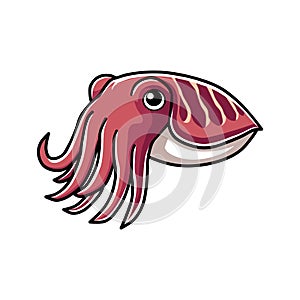 vector illustration of cuttlefish in cartoon style
