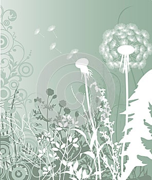 Vector illustration of a dandelion flower