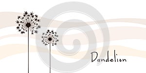 Vector illustration dandelion time. Black Dandelion seeds blowing in the wind. The wind inflates a dandelion isolated on