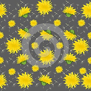 Vector illustration dandelions seamless pattern with leaves.