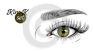 Vector illustration of dark green female eye with extended eyelashes and eyebrow. Kim-K set.