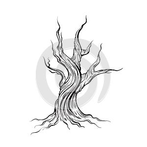 Vector illustration of dead tree made in hand drawn style.