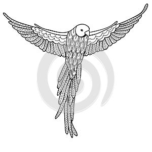 Vector illustration decorative bird on white background. Coloring book for adults.