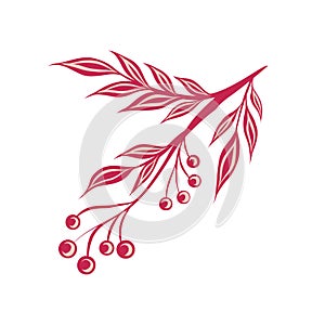 Vector illustration of a decorative rowan branch. A twig with berries, foliage and ornament in a trendy magenta color