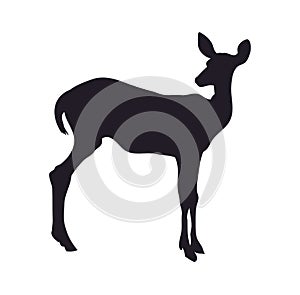 Vector illustration deer lies, silhouette, vector