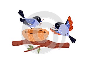Vector illustration depicting cute birds building their first nest on a branch of a large tree