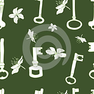Vector illustration and design of keys on a green background