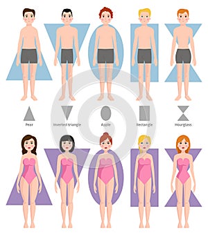 Vector illustration of different body shape types.