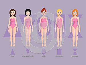 Vector illustration of different body shape types characters standing beauty figure cartoon model.