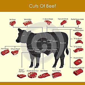 Vector illustration of different cuts of Beef