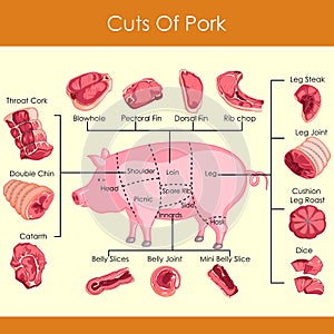 Vector illustration of different cuts of Pork