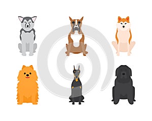 Vector illustration of different dogs breed