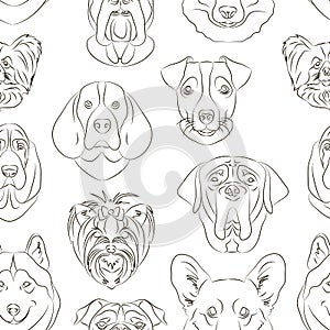 Vector illustration of different dogs breed