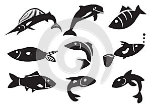 Vector Illustration of Different Fish