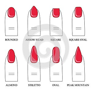 Vector illustration, different forms, shapes of nails. Manicure