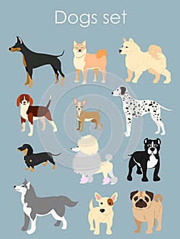 Vector illustration of different type of cartoon dogs. Dogs set in cartoon flat style on light blue background.