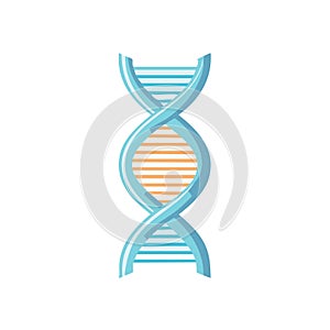 Vector illustration of DNA molecule structure double helix isolated on white