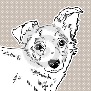 Vector illustration of the dog.