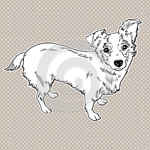 Vector illustration of the dog. black and white.